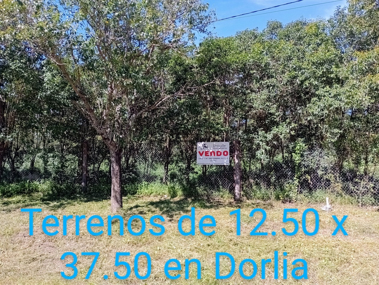 Lotes de 12.50 x 37.50