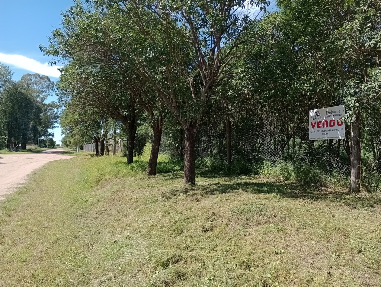 Lotes de 12.50 x 37.50