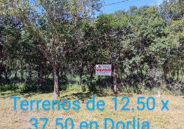 Lotes de 12.50 x 37.50